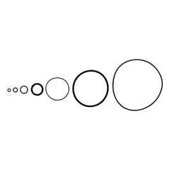 O-Ring, FKM, 48651300