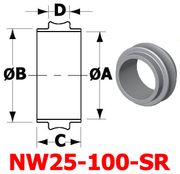 NW25 Centering Ring Without O-Ring (NW25-100-SR)