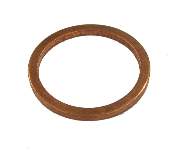 Ring Gasket, 484000046